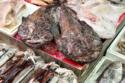 �n�R �A�O�`��